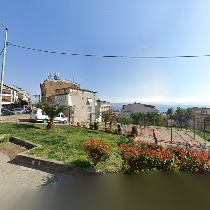 Fotoğraf 7