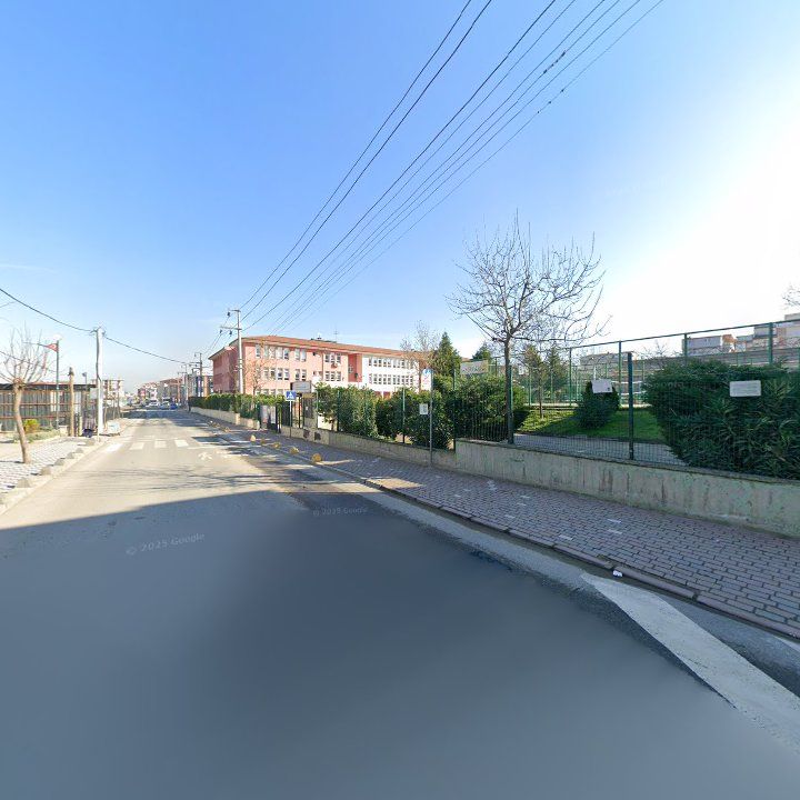 Fotoğraf 10