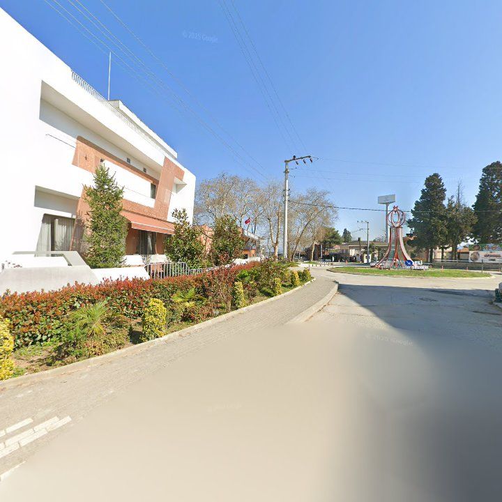Fotoğraf 7