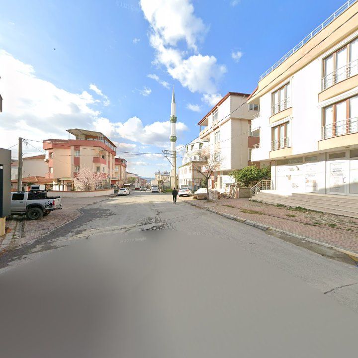 Fotoğraf 9