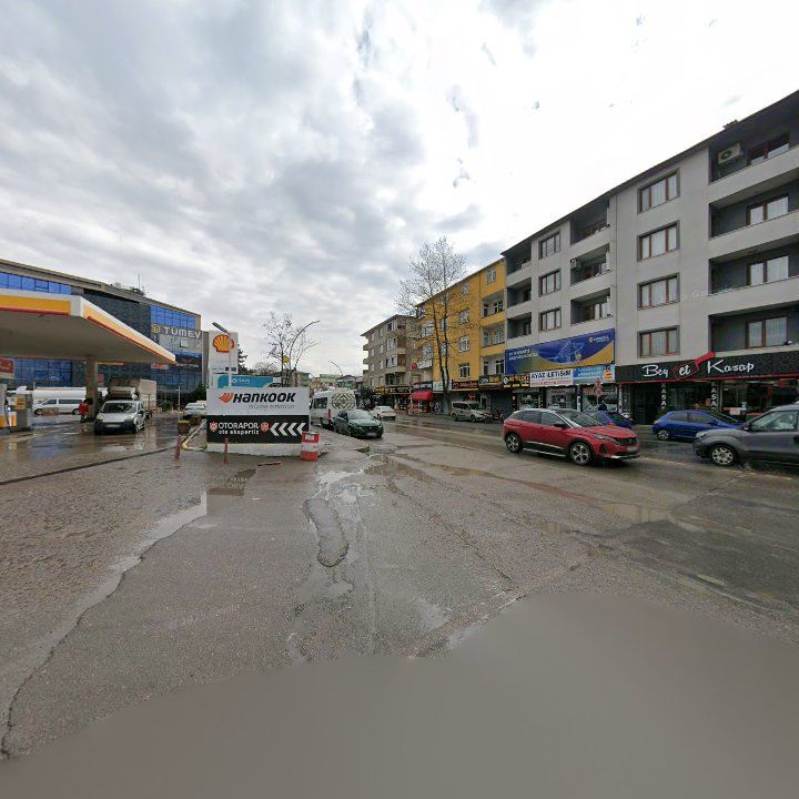 Fotoğraf 13