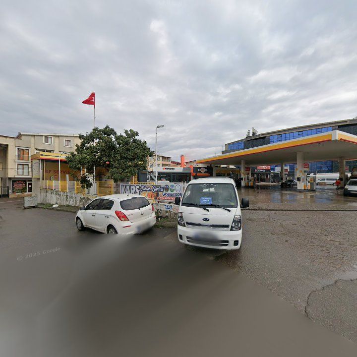 Fotoğraf 12