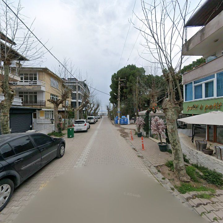Fotoğraf 11