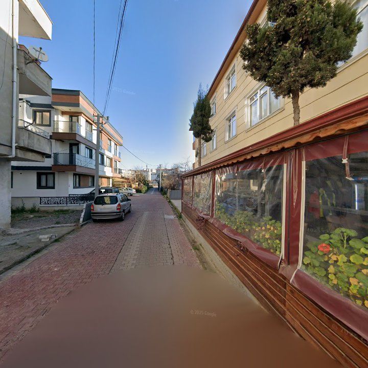 Fotoğraf 10