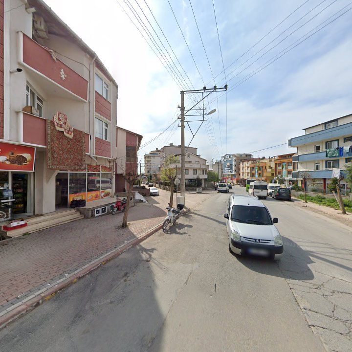 Fotoğraf 8