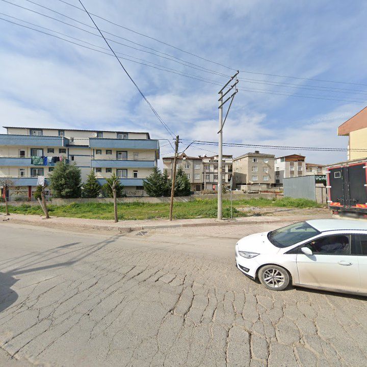 Fotoğraf 9