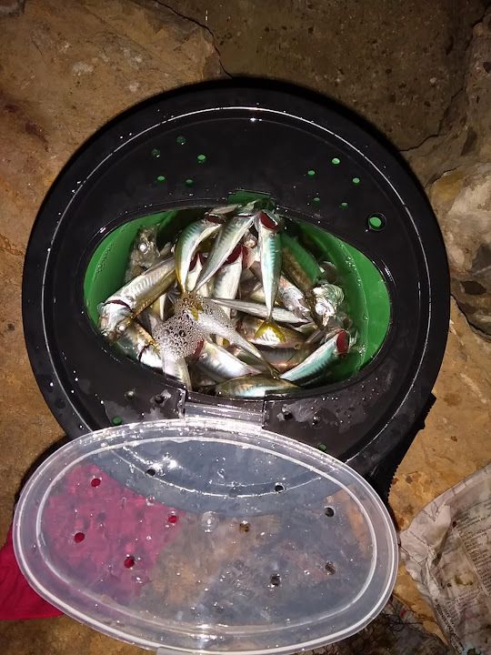 Fotoğraf 29