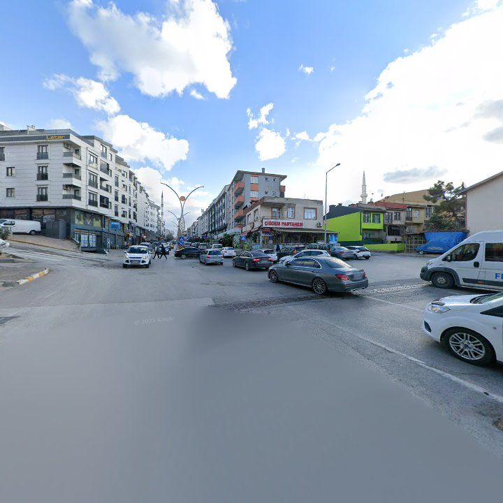 Fotoğraf 13