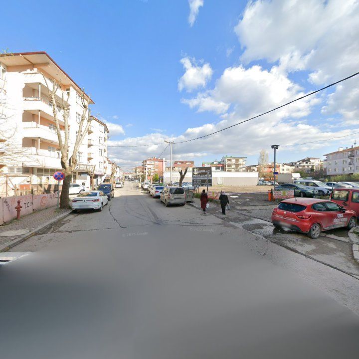 Fotoğraf 9