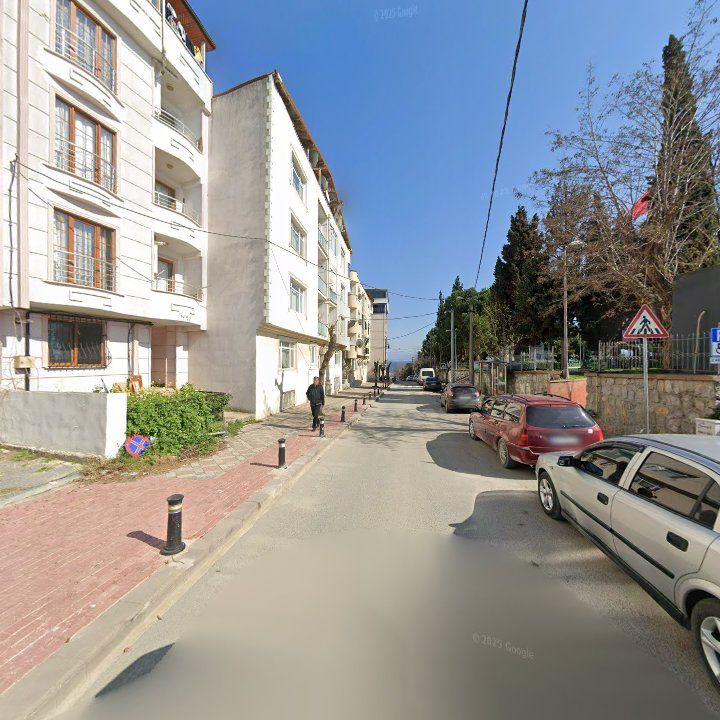 Fotoğraf 12