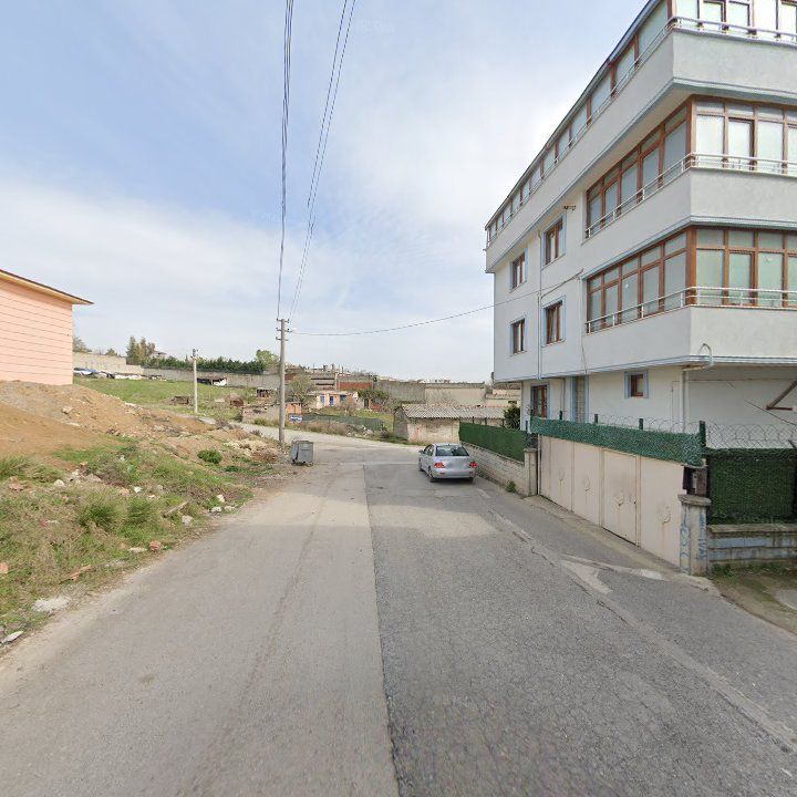 Fotoğraf 10