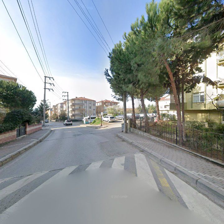 Fotoğraf 8