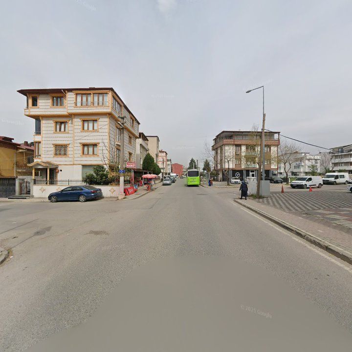 Fotoğraf 9