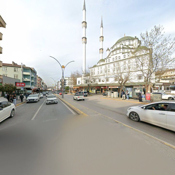 Fotoğraf 6