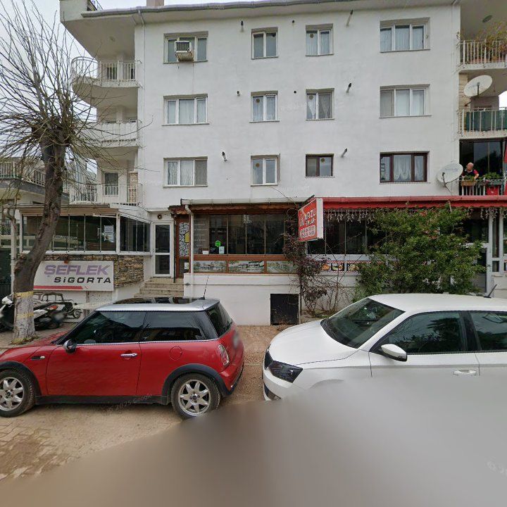 Yer Fıstığı