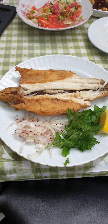 Fotoğraf 15