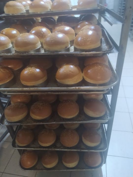 Fotoğraf 15