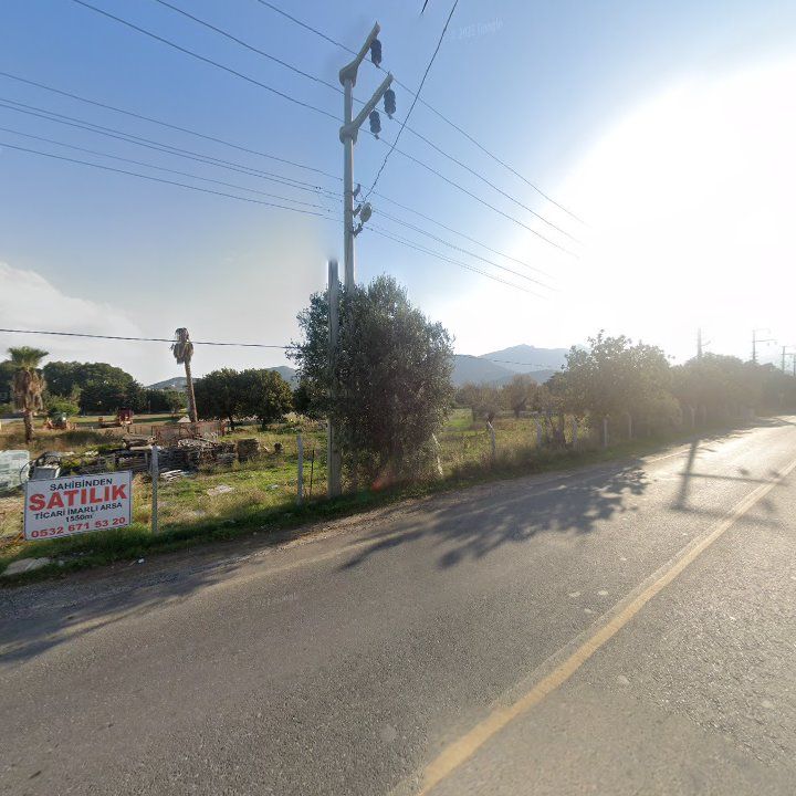 Fotoğraf 11