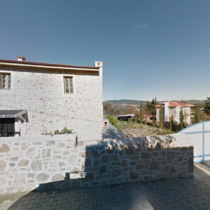 Fotoğraf 10