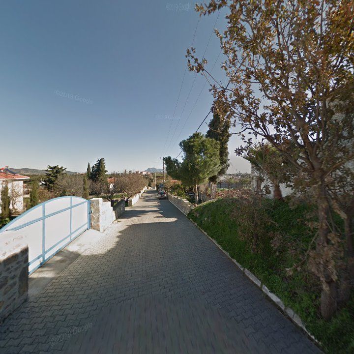 Fotoğraf 11