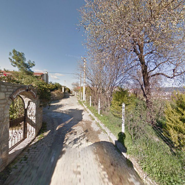 Fotoğraf 8