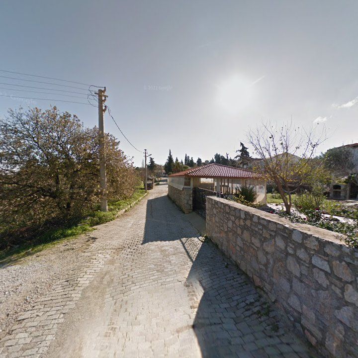 Fotoğraf 10
