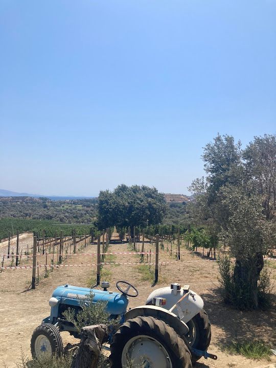 Fotoğraf 60