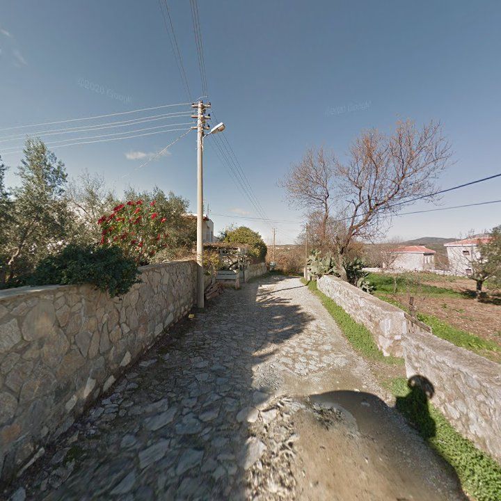 Fotoğraf 10