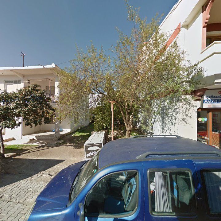 Fotoğraf 10