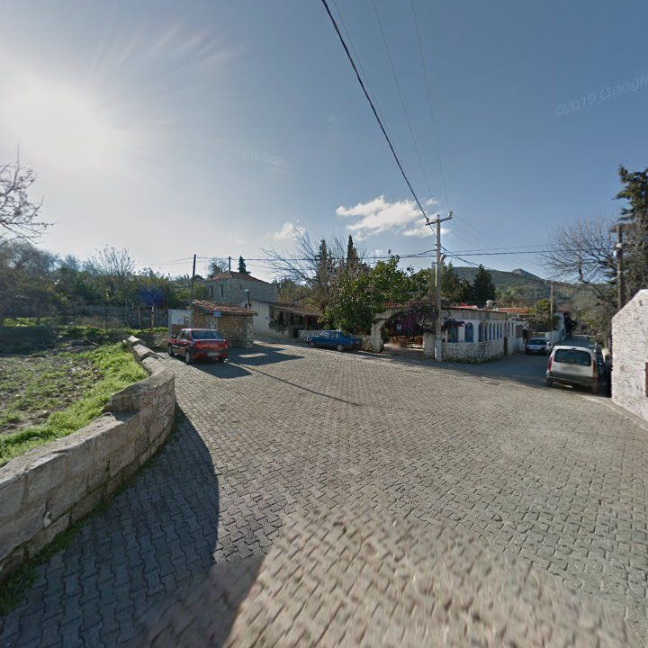 Fotoğraf 8