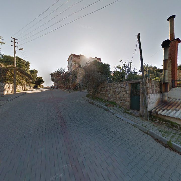 Fotoğraf 10