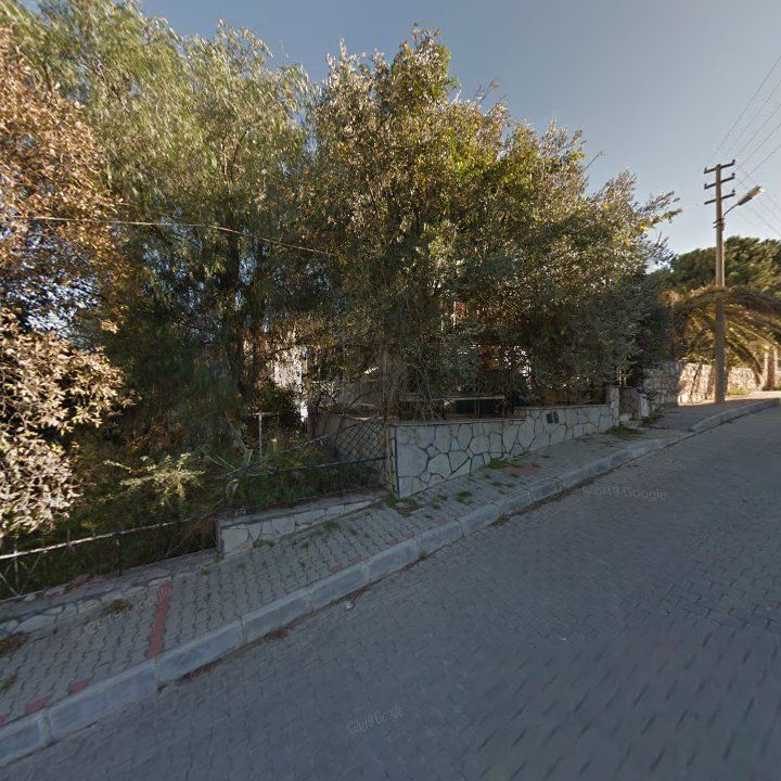 Fotoğraf 9