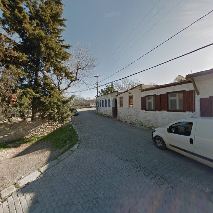 Fotoğraf 10