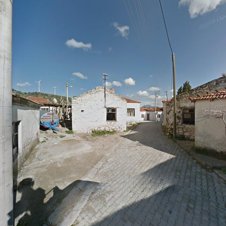 Fotoğraf 7