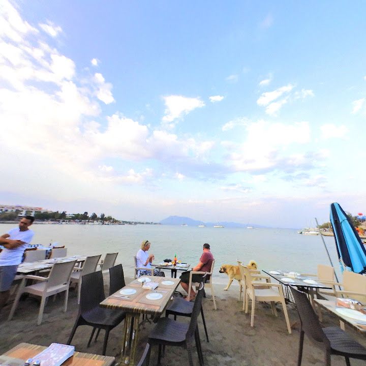 Fotoğraf 12