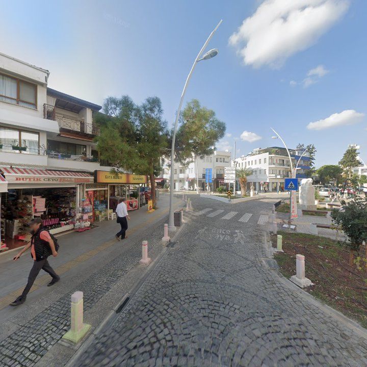 Fotoğraf 10