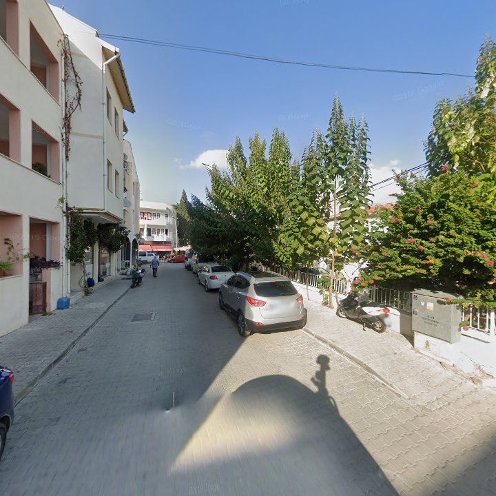 Fotoğraf 7
