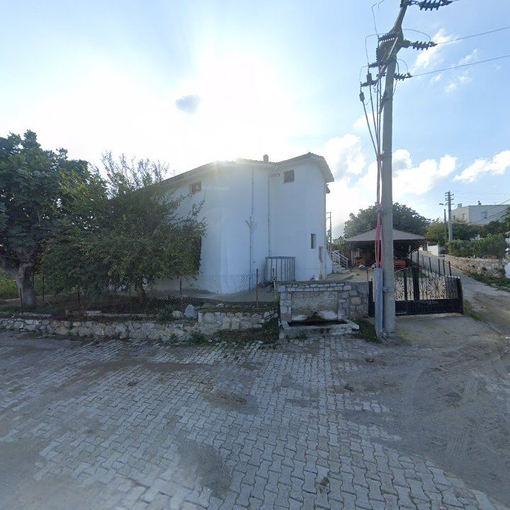Fotoğraf 4