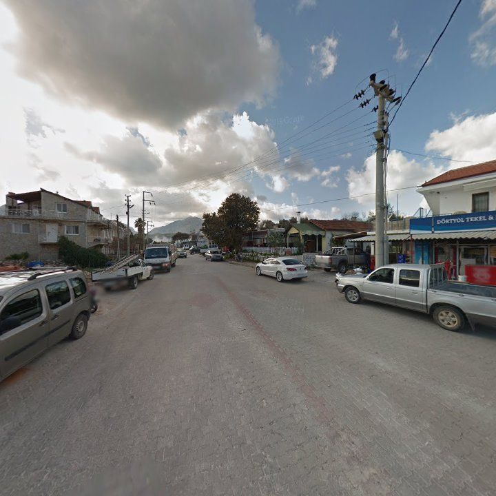 Fotoğraf 9
