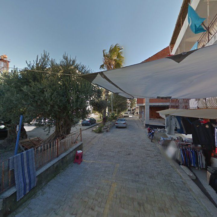 Fotoğraf 8