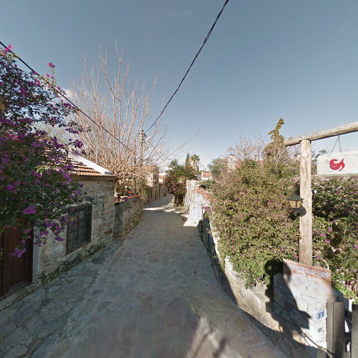 Fotoğraf 9