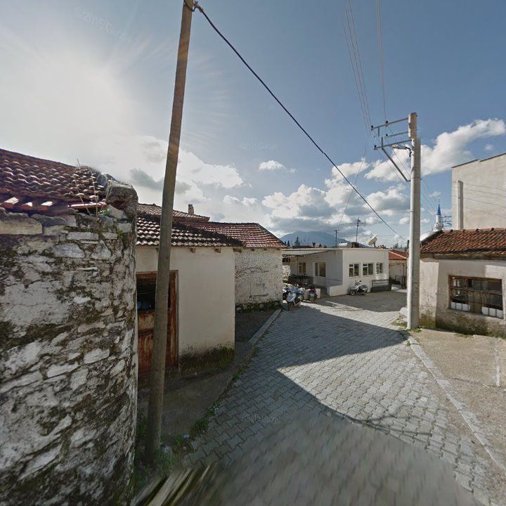 Fotoğraf 7