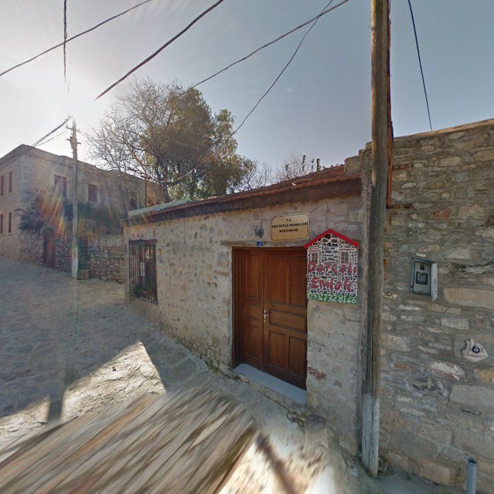 Fotoğraf 12
