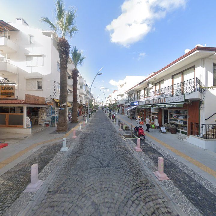 Fotoğraf 10