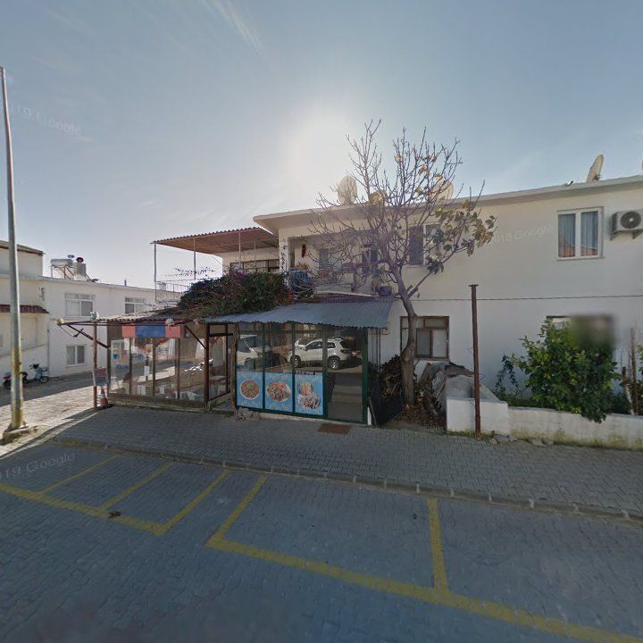 Fotoğraf 9