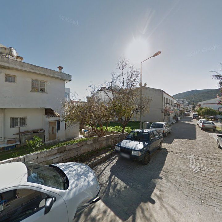 Fotoğraf 6