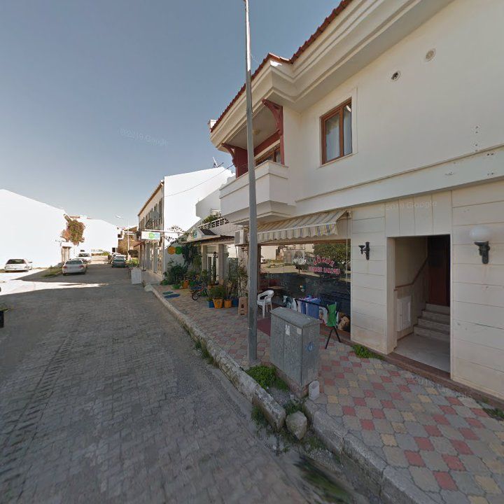 Fotoğraf 11