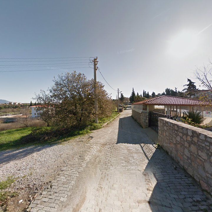 Fotoğraf 9