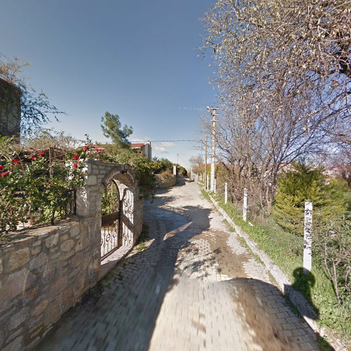 Fotoğraf 7