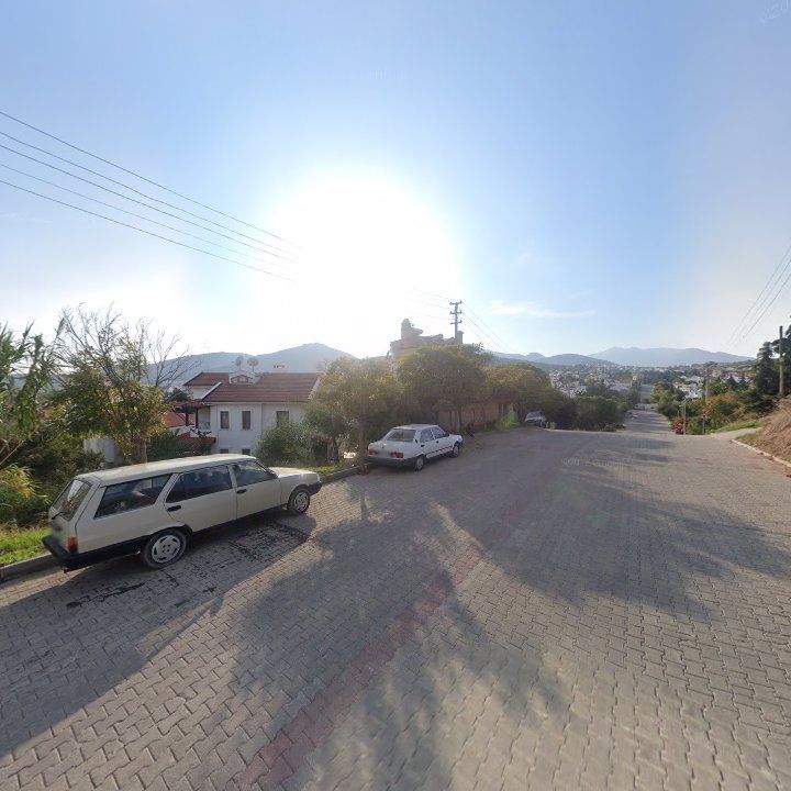 Fotoğraf 9